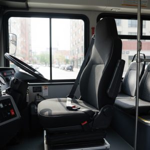 cinturon de seguridad